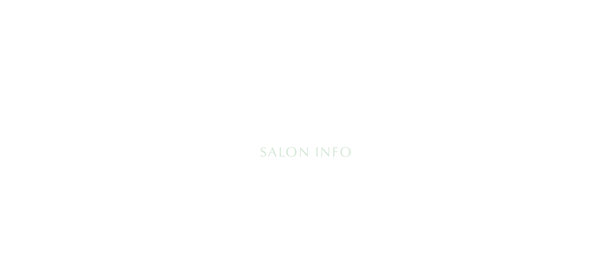 SALON　INFO